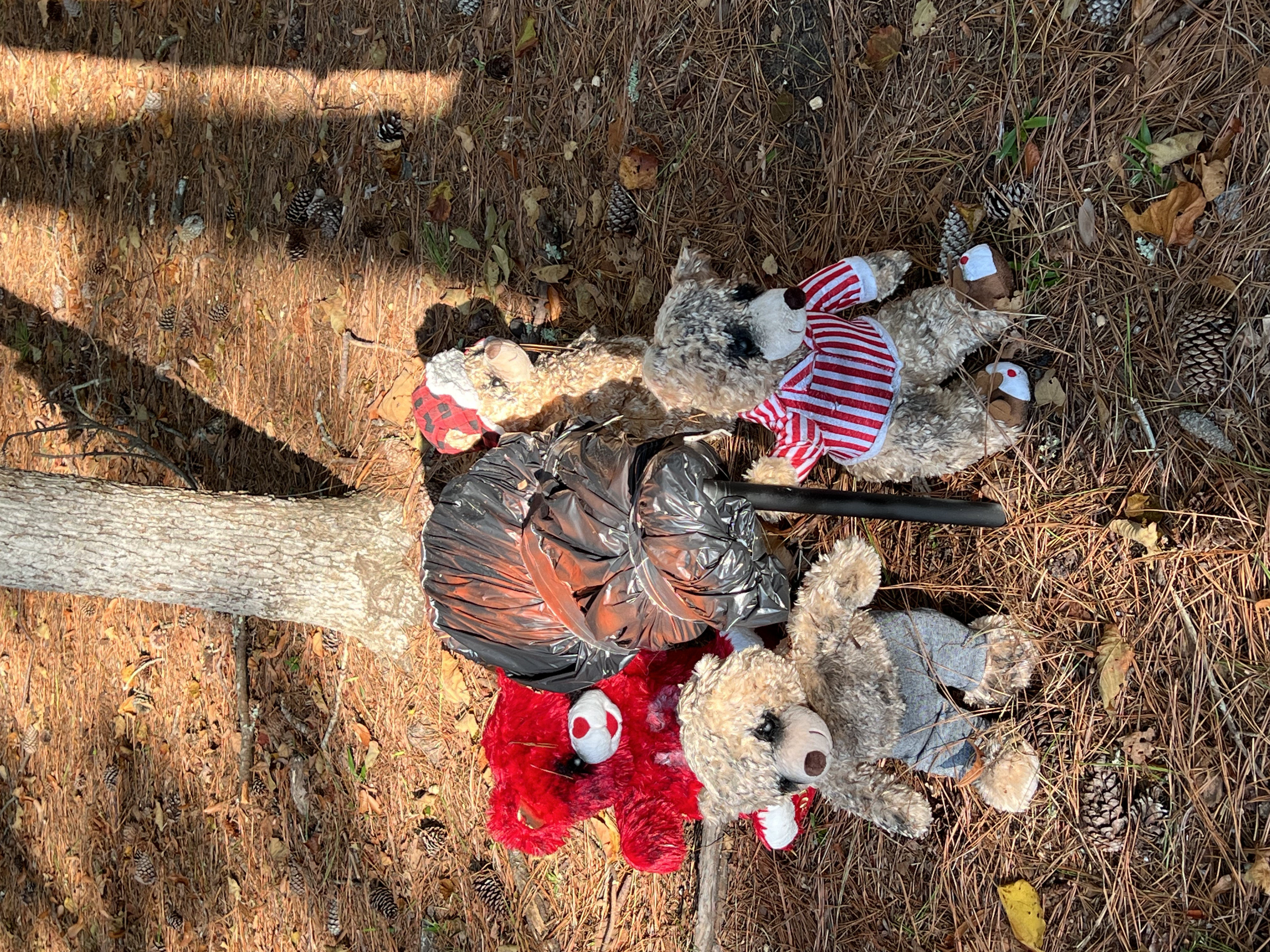 ./2024/10 - Myrtle Beach/IMG_2747.jpg